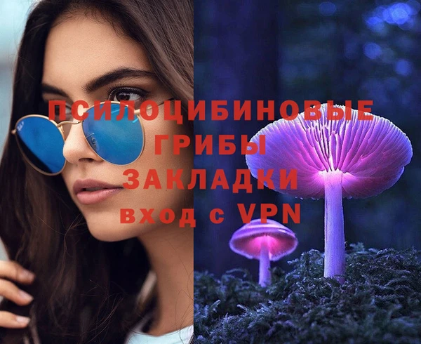 скорость mdpv Богородицк