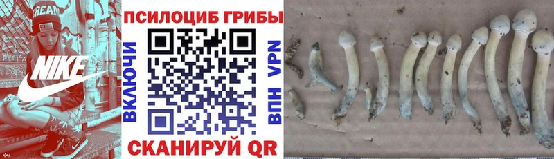 Галлюциногенные грибы MAGIC MUSHROOMS  дарнет шоп  Яранск 